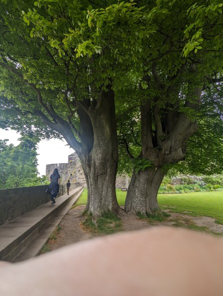 PXL_20240513_133820106