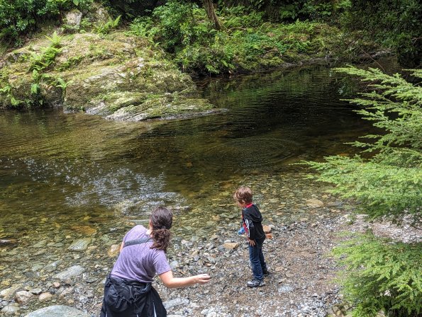 PXL_20240517_122513935.MP